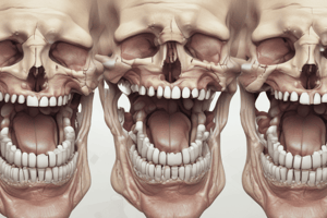 TMJ Biomechanics and Function