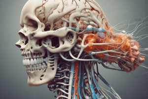 Neuroanatomy: Spinal Cord Reflexes Quiz