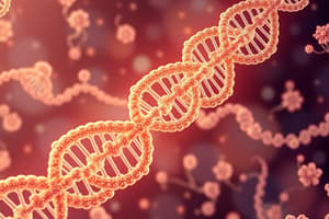 Nucleotide Structure and Function Quiz