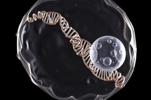 Cell Cycle Overview