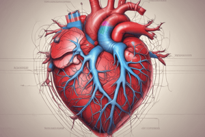 The Cardiovascular System