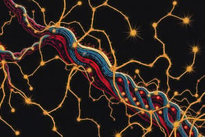 Cytoskeletal Motor Proteins Overview