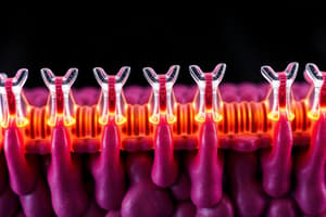 Module 5: Ion Channels