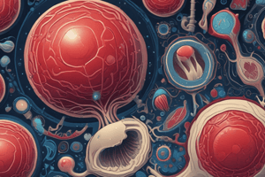 Bone Marrow Structure and Function