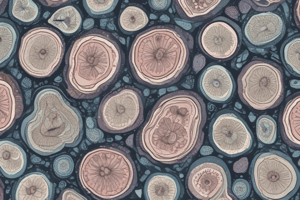 Microscopy and Tissue Types