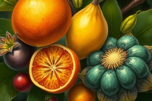 Fruit Types and Biological Concepts