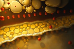 Pharmacology: Membrane and Drug Absorption