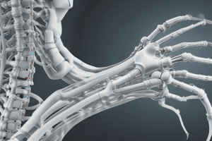 Kyphosis: Causes and Clinical Presentation