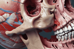 BMS 133: Nasal Cavity, Sinuses, and Pterygopalatine Fossa Bony Boundaries Quiz