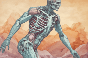 Major Minerals and Calcium Functions