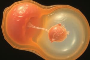 Fertilization and Embryonic Development