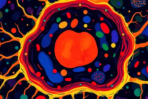 Cell Biology: Mitochondria Overview