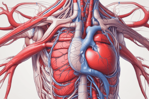 Biology Chapter 13 - The Cardiovassculer System