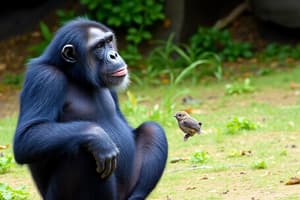 Chimpanzee Territorial Behavior Study