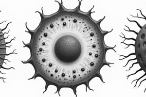 Introduction to Biology