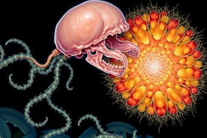 Microbiology Chapter 10 - Host-Microbe Interactions