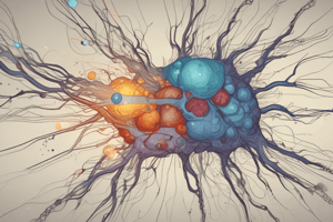 Chapter 8: Somatosensory Neurotransmission