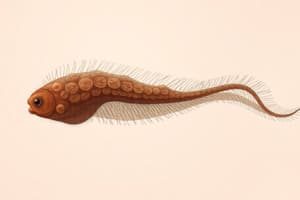 Fasciola hepatica Life Cycle Quiz