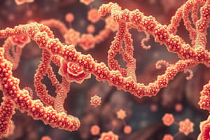 RNA Synthesis (Transcription) Quiz