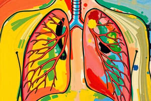 Biology Chapter: Respiratory System