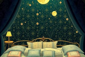 Understanding Consciousness and Sleep Stages