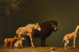 Terrestrial Animals and Their Adaptations