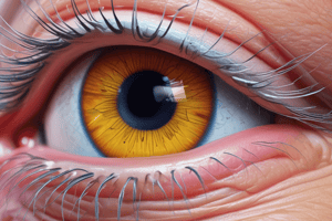 Effects of Acetylcholine on Ciliary Muscle and Intraocular Pressure