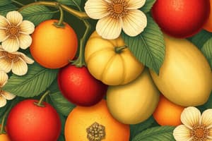 Fruits: Botanical and Culinary Definitions