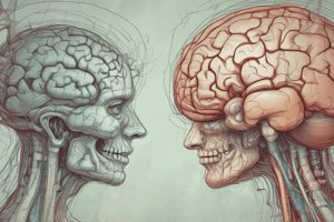 Motor Cortex and Brain Stem Control