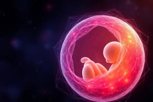 Embryology: Early Blastocyst Stage and Development