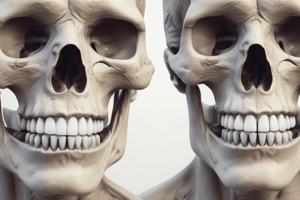 TMJ: Temporomandibular Joint Lecture