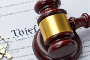 Theft and Property Offences