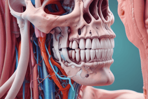 Human Anatomy: Nasal Cavity, Sinuses, and Pharynx Quiz