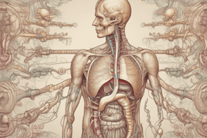 PSL 250 Lecture 20 (Digestive System)