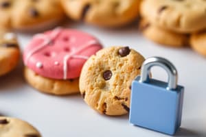 Understanding Cookies and Privacy Settings