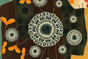 Prokaryotic vs. Eukaryotic Cells Quiz