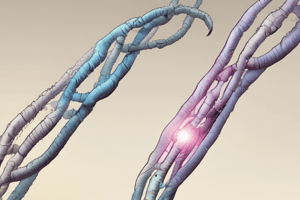 Chromosome Abnormalities in Genetics