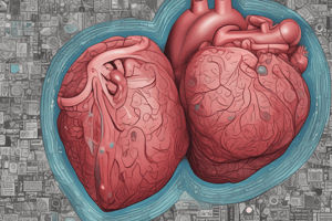 Mechanism of β-Blockers in Exertional Angina