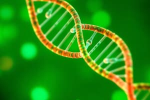 Nucleic Acid Structure and Function