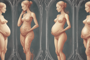 Pregnancy Stages and Development