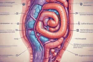 大腸癌のEX、ND、Tumor deposit