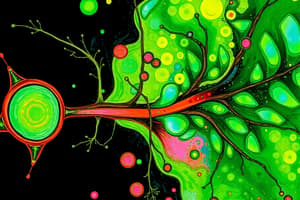 Photosynthesis and Chlorophyll Gas Exchange