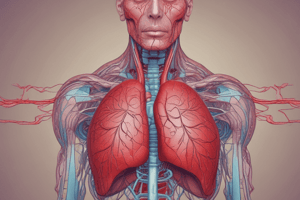 Cardiovascular Anatomy & Blood Flow Review