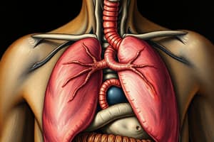 Digestive and Respiratory Systems Overview