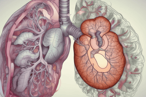 Abnormal Lung Sounds Quiz