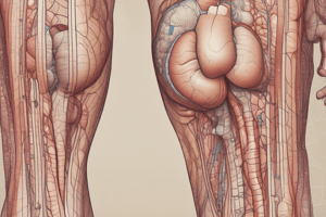 Integumentary System