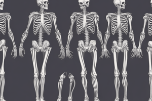 Anatomy of Joints