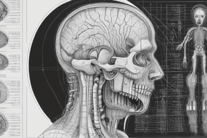 CNS Radiology: Investigation for Brain and Skull Disorders