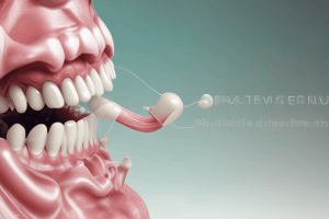 Dentistry: The Normal Periodontium and Gingiva