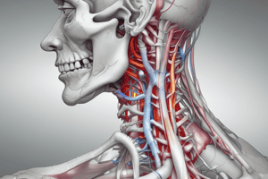 Cervical Facet Syndrome: Anatomy and Pathophysiology